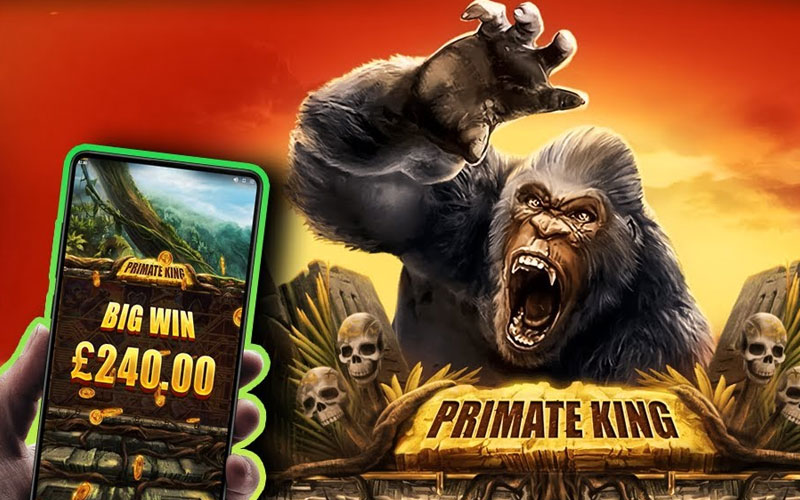 online gaming primate king - Ekings