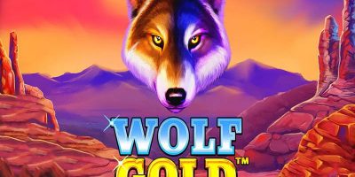 online gaming wolf gold - Ekings