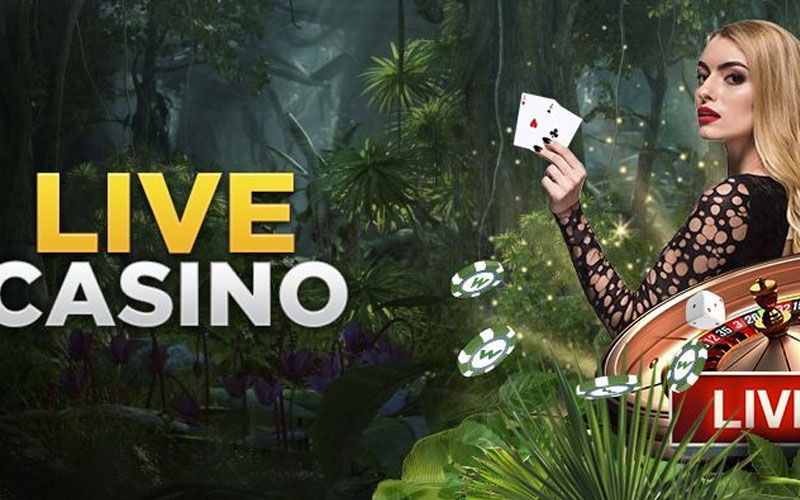 online gaming casino live - Ekings