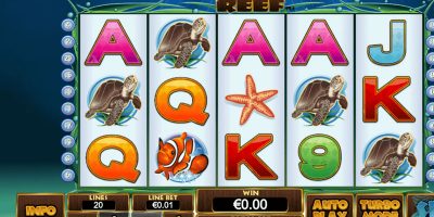 online gaming dolphin reef - Ekings