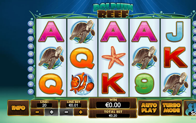 online gaming dolphin reef - Ekings