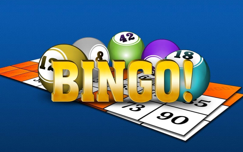 online gaming bingo pemula - Ekings