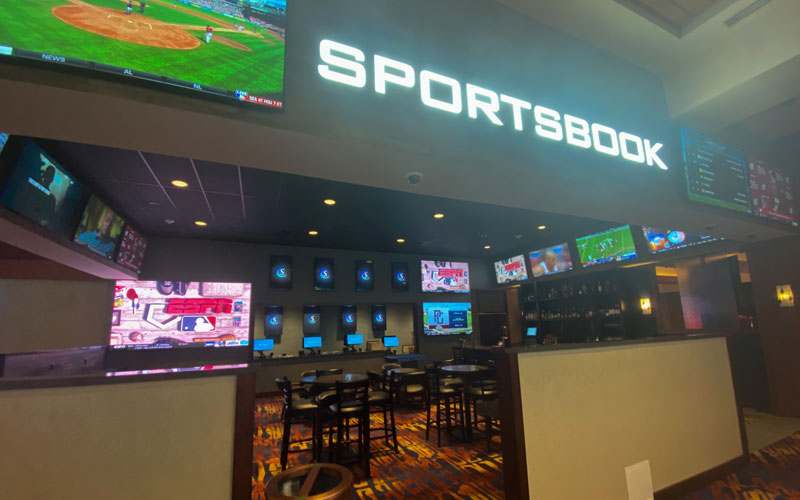 online gaming sportsbook - Ekings